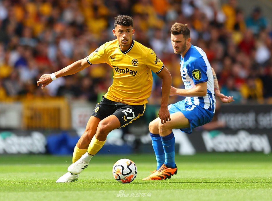 体马卡报的 体马卡报的