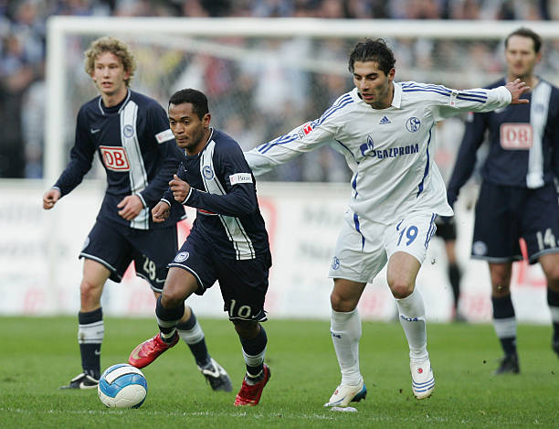 他们能够感 他们能够感